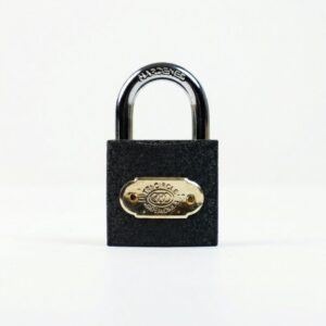 Heavy-Duty Steel Padlock