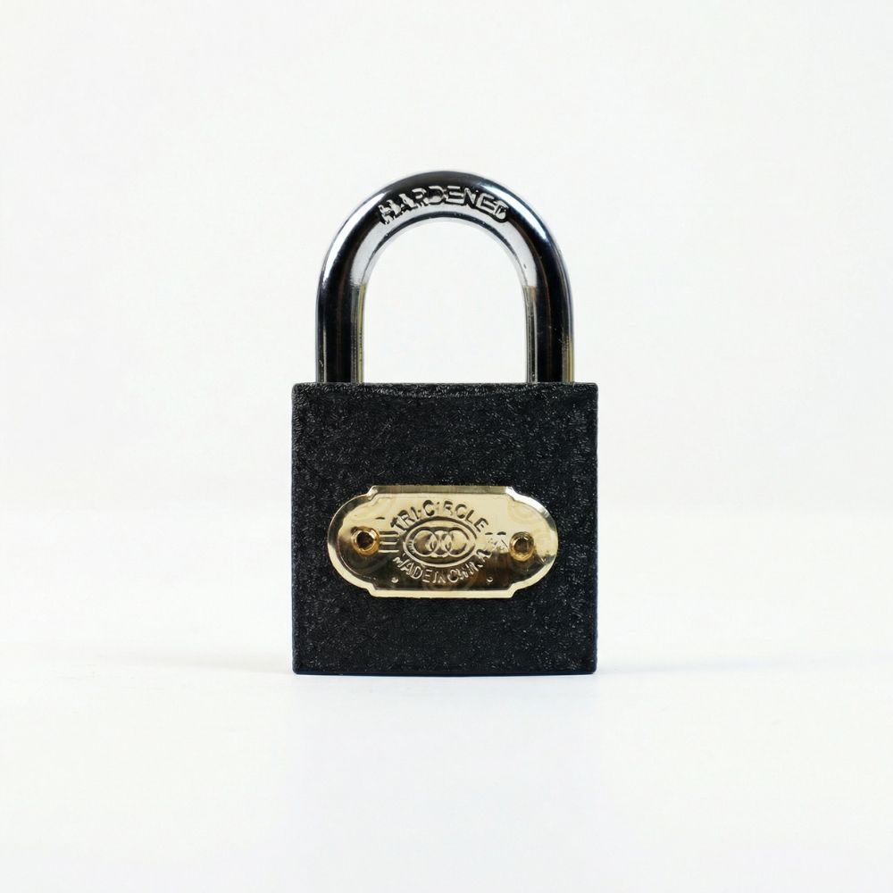 Heavy-Duty Steel Padlock
